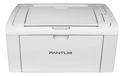 Impresora Simple Función Pantum P2509w Wifi Blanca 220v-240v Blanco