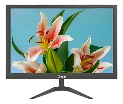 Monitor Led 24 Para Oficina Global Full Hd 60hz Vga Hdmi Negro