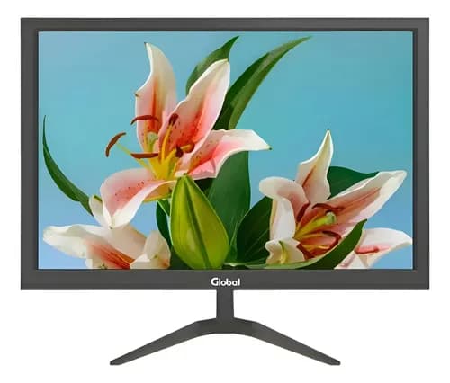 Monitor Led Global 24 Full Hd 60hz Vga Hdmi Negro Oficina Negro